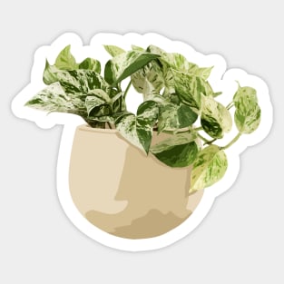 Epipremnum Marble Queen Sticker